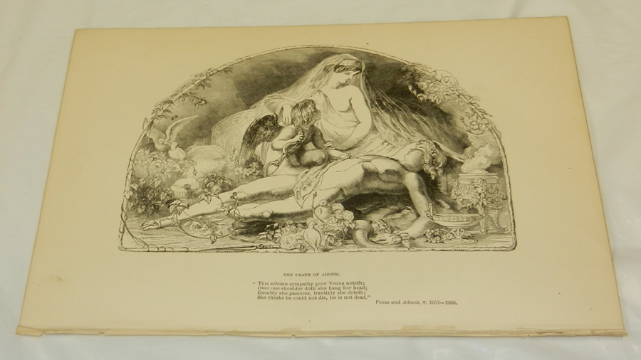 1880 SHAKESPEARE Antique Print/THE DEATH OF ADONIS/Venus & Adonis | eBay